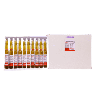 CLORPAM Injection